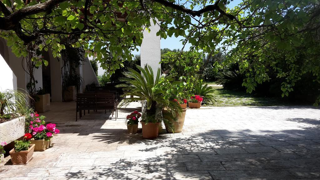 Agriturismo Vignavecchia Винякастризи Екстериор снимка