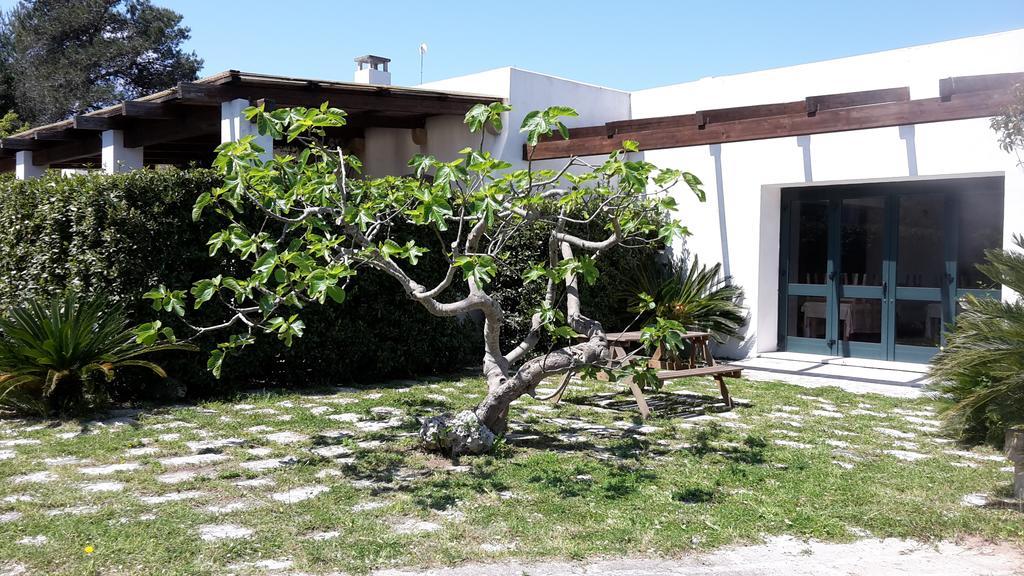 Agriturismo Vignavecchia Винякастризи Екстериор снимка