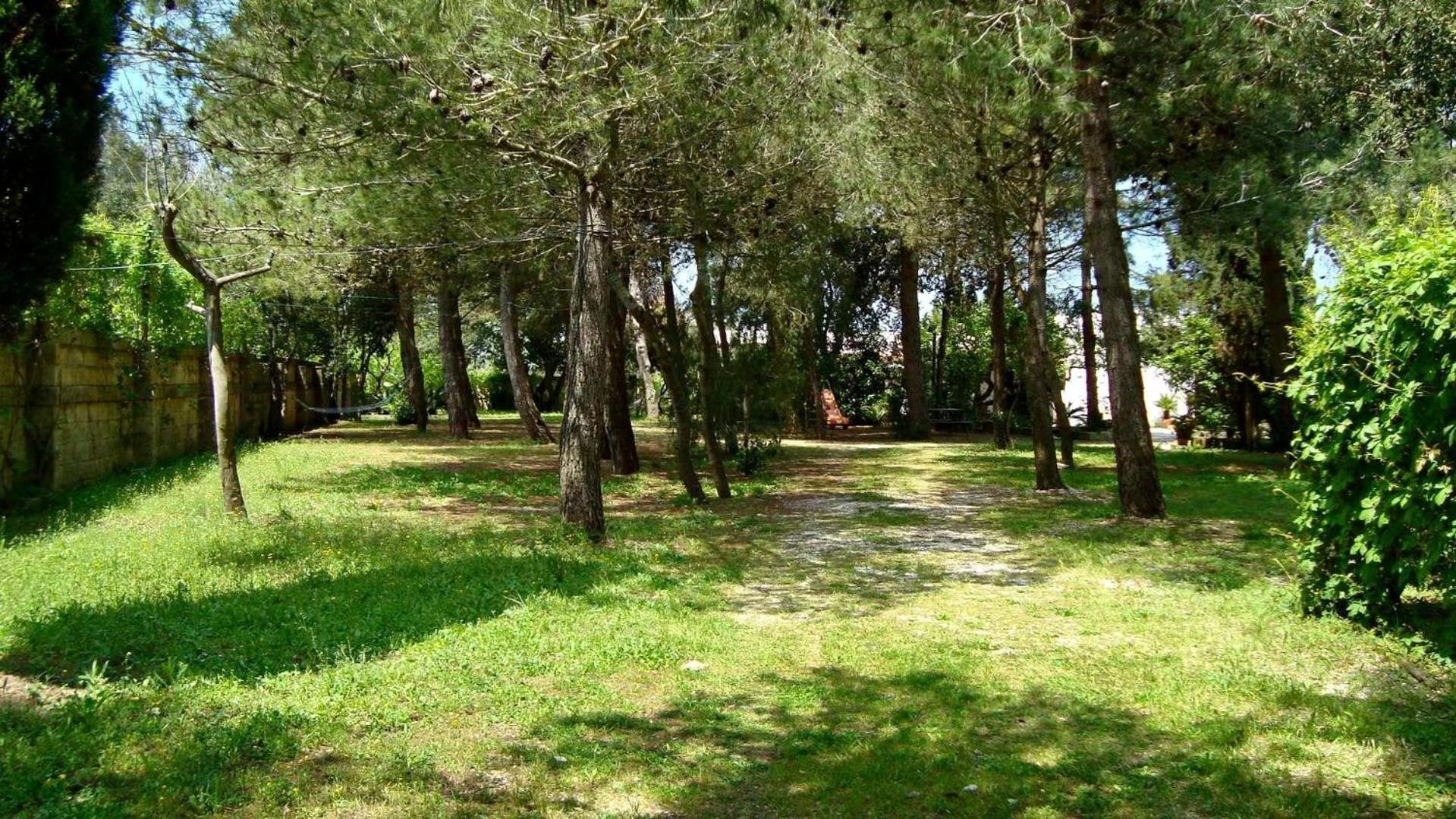 Agriturismo Vignavecchia Винякастризи Екстериор снимка