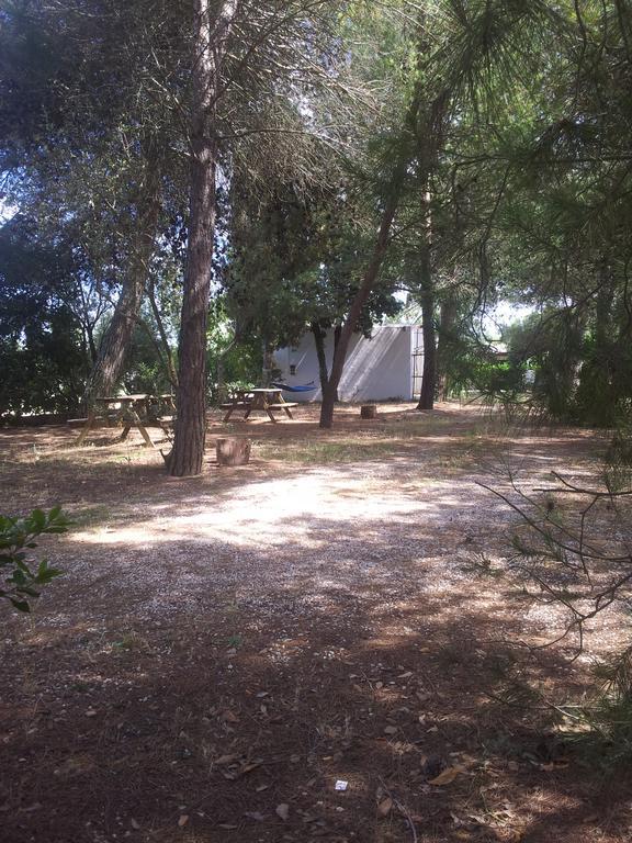 Agriturismo Vignavecchia Винякастризи Екстериор снимка