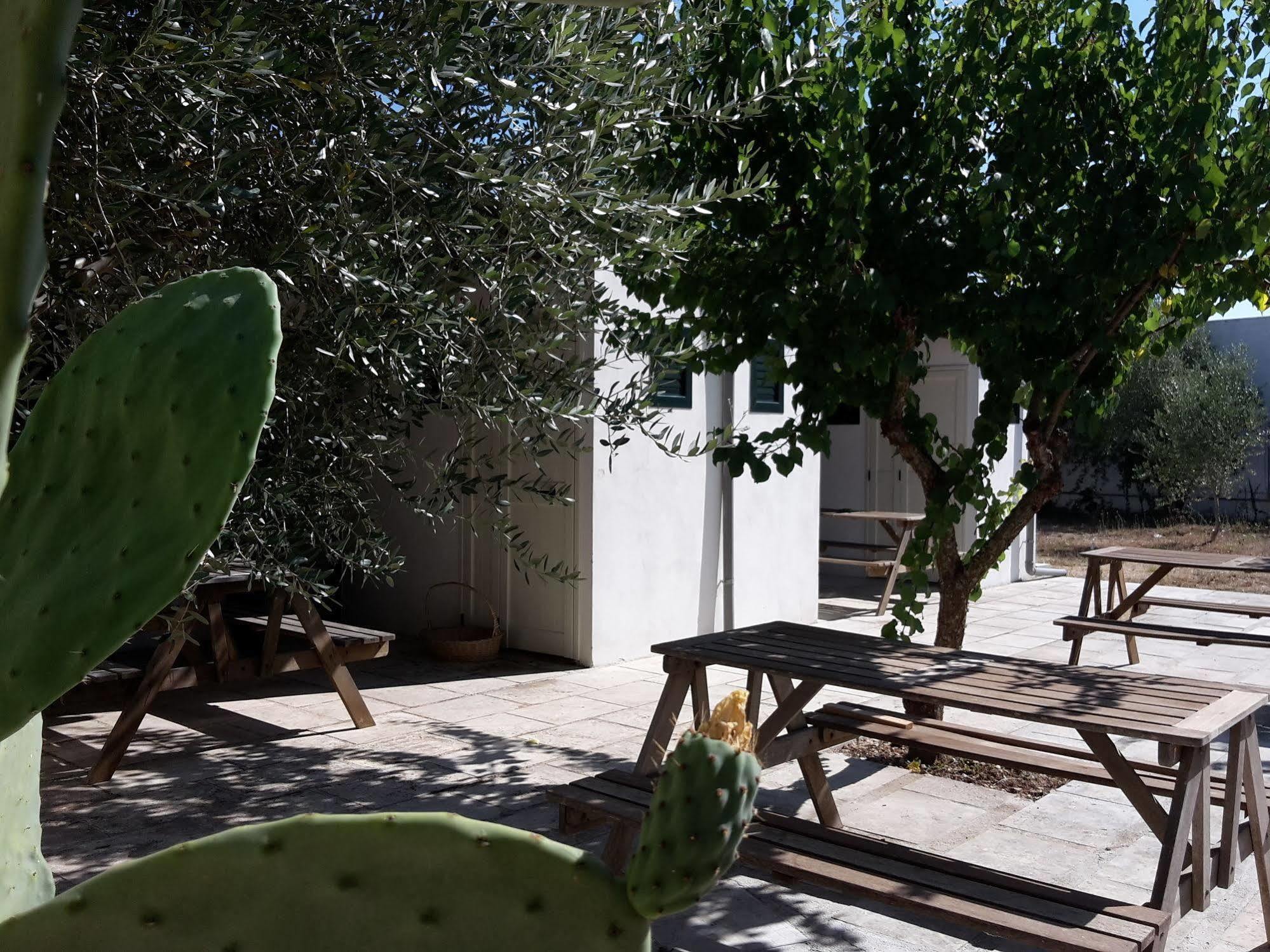 Agriturismo Vignavecchia Винякастризи Екстериор снимка