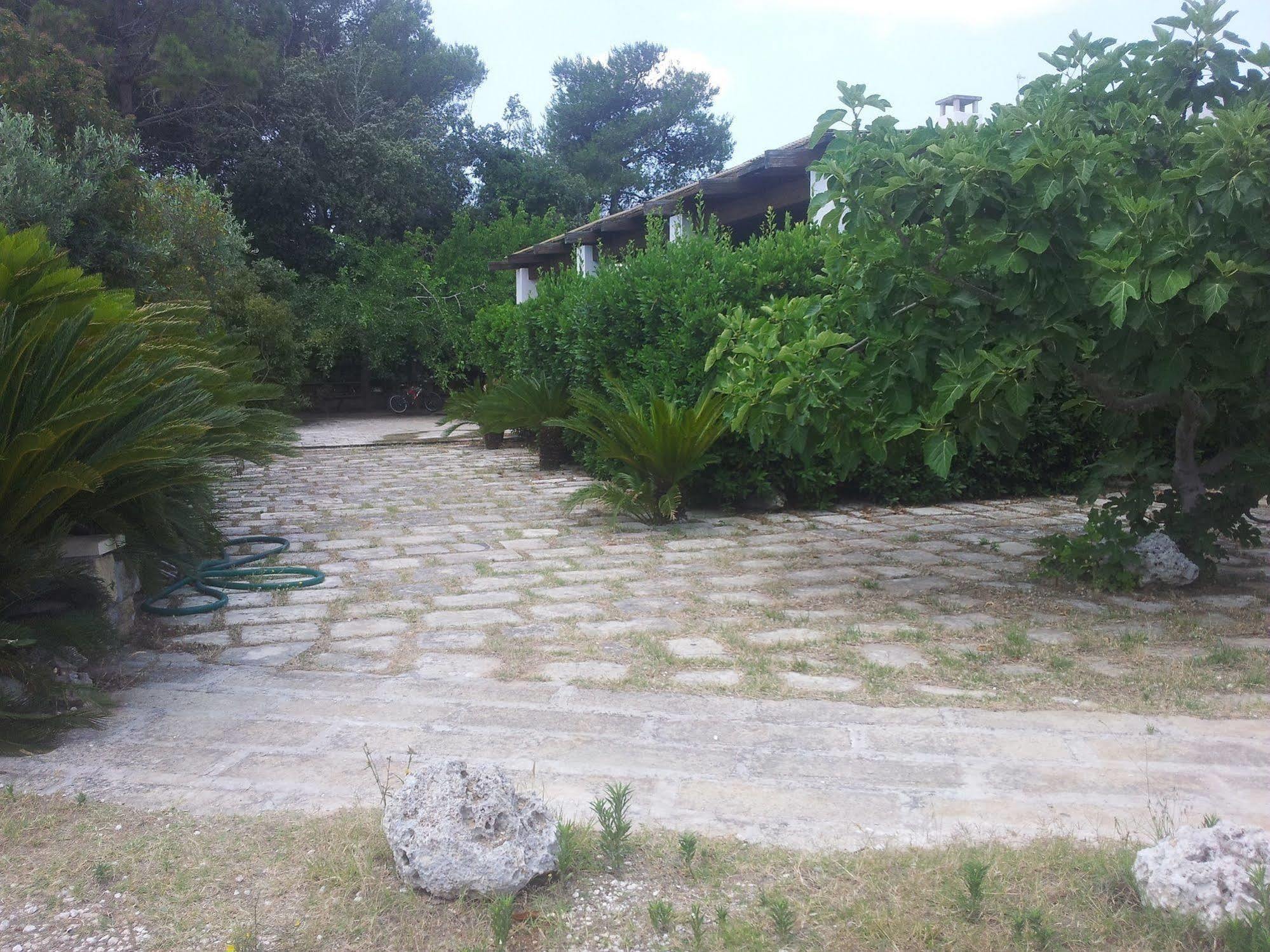 Agriturismo Vignavecchia Винякастризи Екстериор снимка